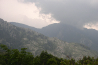 Vizzavona - Onda_13.JPG (135656 octets)